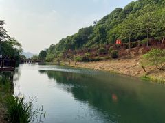 -桃花岭景区
