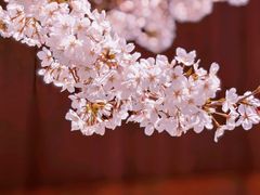 -龙美术馆(西岸馆)