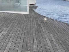 -哥伦布纪念碑