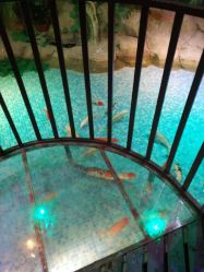 -酷嗒动物文化乐园(cutezoo西溪乐天城店)