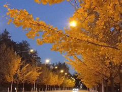 -亚马逊丛林水乐园