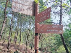 -南京市无想山景区