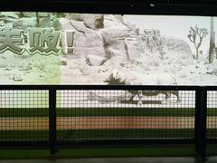 -VS SPORTS PARK运动玩乐园·团建·生日会(合生汇店)