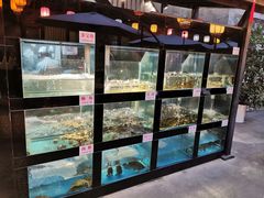 水产区-院8里·少城记忆老川菜(宽窄巷子店)