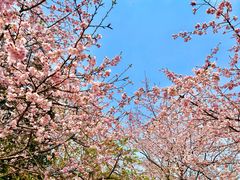 -杭州植物园