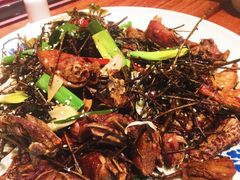 -杨记隆府(时代天街店)