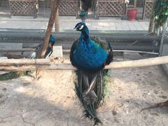 -万源龙顺度假庄园生态观光园