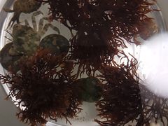 -银海大世界