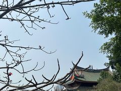 -南普陀素菜馆