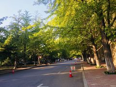 -辽宁大学(崇山校区)