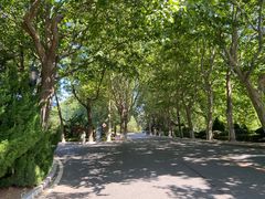 -棒棰岛宾馆景区