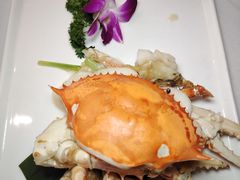 -月湖翠·上海菜(思南公馆淮海店)