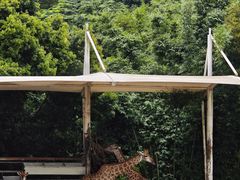 -泉州海丝野生动物世界