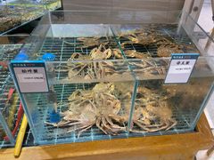 -阿毛饭店·宁波老字号(儿童公园旗舰店)