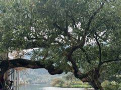 -上坦村