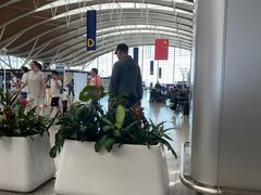 -上海浦东国际机场-T2航站楼