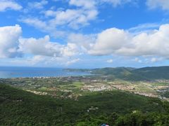 -三亚亚龙湾人间天堂鸟巢度假村