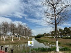 -春花秋色城市公园