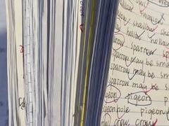 -JT PREP国际学科课程·IB·AP·Alevel(陆家嘴校区)