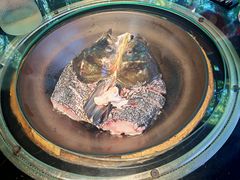 -好灶头妈妈菜·千岛湖土菜地标美食