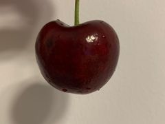 -双福水果批发市场
