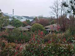 -抚州汤溪温泉