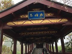 -长广溪湿地公园