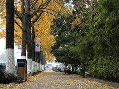 -苏州市立医院本部母子保健中心
