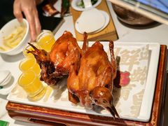 -大鸽饭(动物园店)