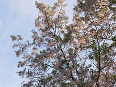 -白塘生态植物园
