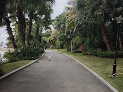 -碧桂园十里银滩