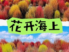 -花开海上生态园