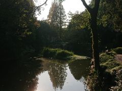 -叶家花园