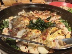 泰国红胡椒焗海钓大黄鱼-滋粥楼·顺德菜(番禺广场总店)