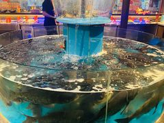 -魏铭鱼头捞饭(晋阳路店)