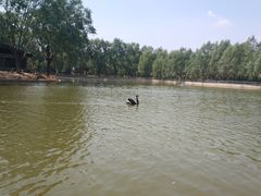 -泰安地下龙宫景区