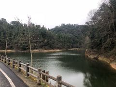 -千岛湖龙川湾