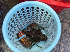 -阿浪海鲜连锁•海鲜加工•老字号(第一市场店)