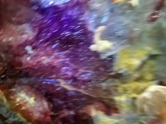 -乡土特色.冷锅鱼.牦牛肉汤锅