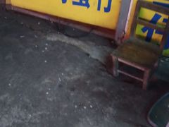 门面-阿叔鸡蛋仔(燎原路店)