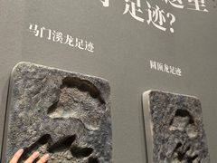 -遇见博物馆(遇见海洋沉浸式奇幻光影展)
