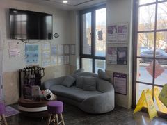 -宠爱国际动物医院·消化内科·心肾内科·ISFM猫友好(望京店)