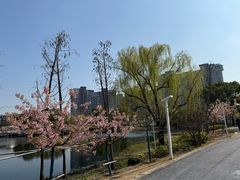 -新江湾城公园