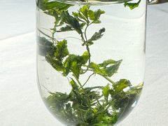 -味界·精致赣菜(招商花园城店)