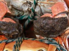 IMG_4275-丫丫蟹庄·苏式园林农家乐·阳澄湖大闸蟹(阳澄湖莲花岛店)