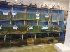 水产区-天桥饭店·特色海鲜(金山嘴渔村店)