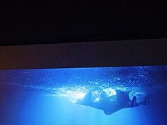-墨锦轩·5D影院足浴·SPA(高新店)