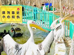 -水上乐园·欢乐世界
