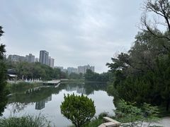 -渭滨公园
