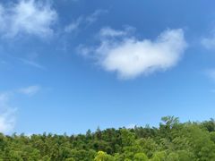 -蜀南竹海景区